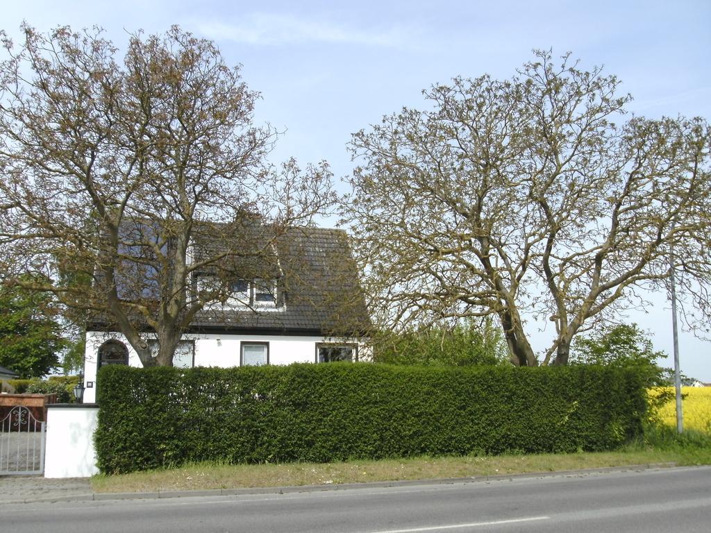 Ferienhaus Am Fuchsberg Appartement Dahme  Buitenkant foto